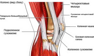 Как избежать травмы колена