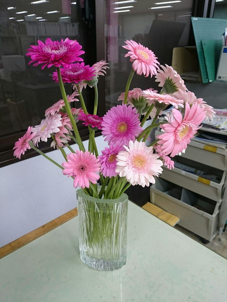 Начальство из своего кошелька украшает офис, чтобы поддержать производителей цветов.