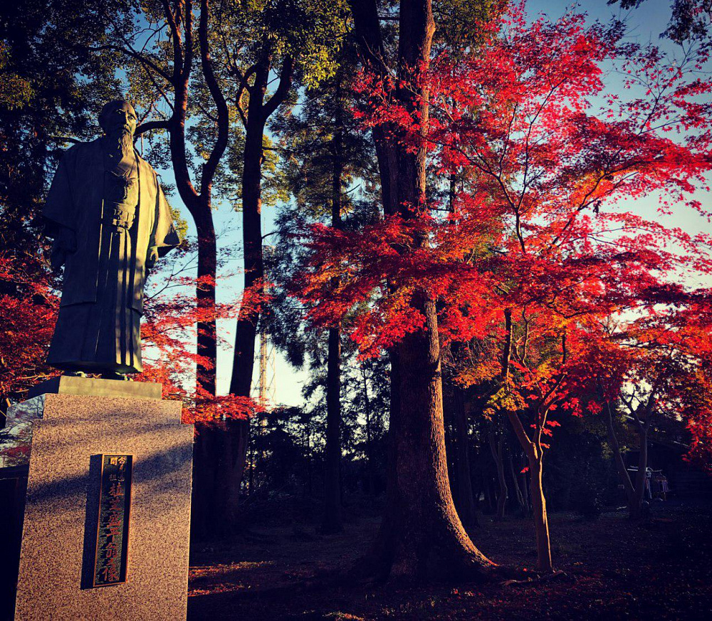 Первая неделя зимы. Всё ещё сезон красных листьев.  Автор фото: Сузуки Юичиро.